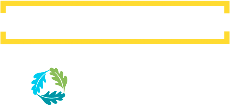 Mass Timber+ at Greenbuild